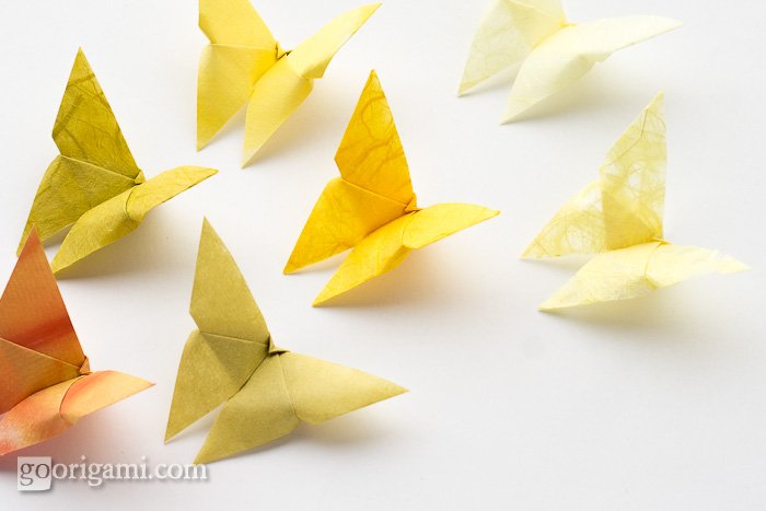 Butterfly Origami