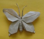 Butterfly Complex Origami