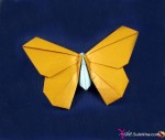 Butterfly Kids Origami