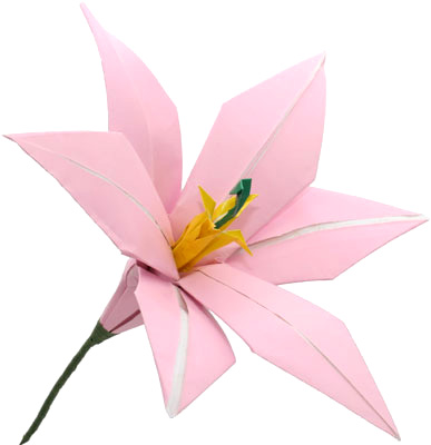 Lily Origami