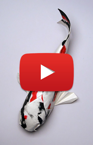 Origami Koi