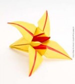 Red Yellow Origami Lily