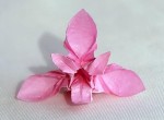 Beautiful Origami Orchid