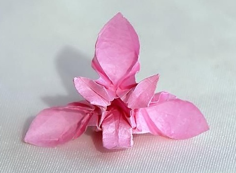 Origami Orchid