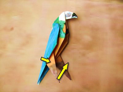 Origami Parrot