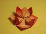 Delicate Origami Water Lily