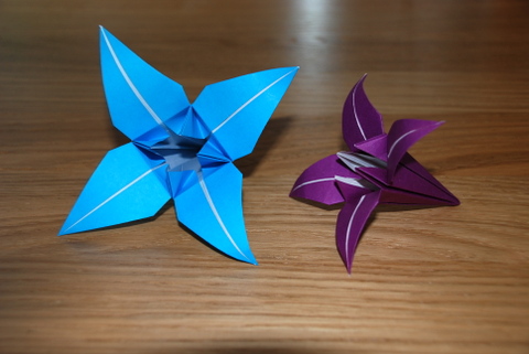 Simple Origami Flower