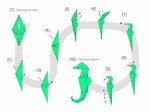 Seahorse Cool Origami Instructions