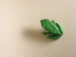 Realistic Frog Origami