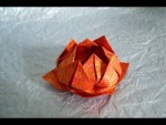 Pleasing Lotus Flower Origami