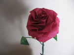 Stunning Origami Flower Rose