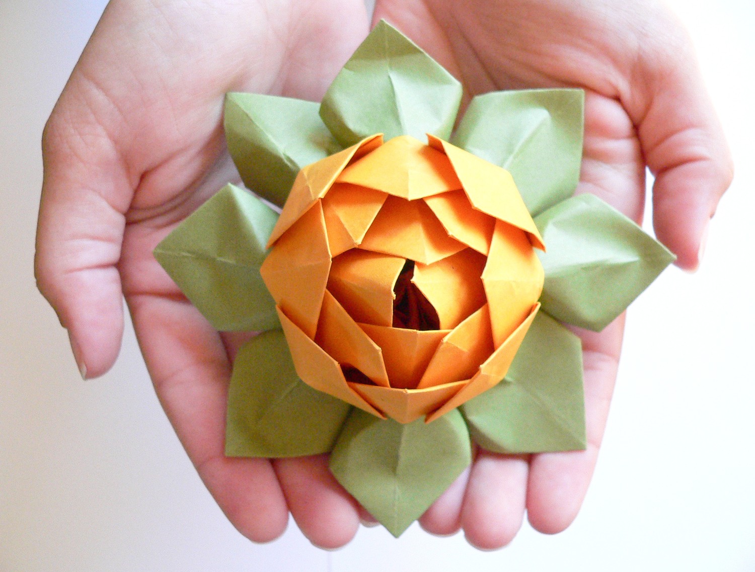 origami lotus flower