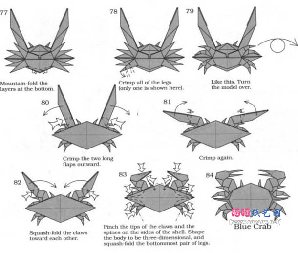 Advanced Origami Instructions