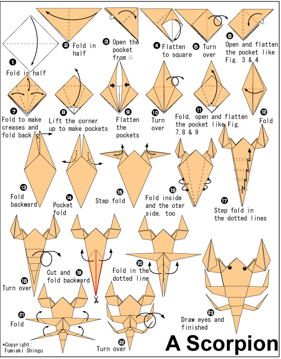 Complex Origami Instructions