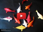 How To Make Origami Fish