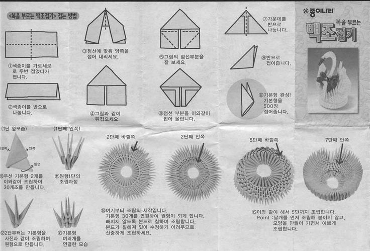 Origami Instruction