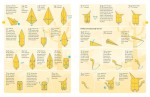 Nice Pokemon Origami Instructions