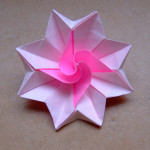 Delightful flowers origami