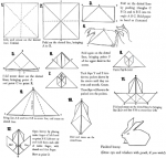 Study how to make origami rose