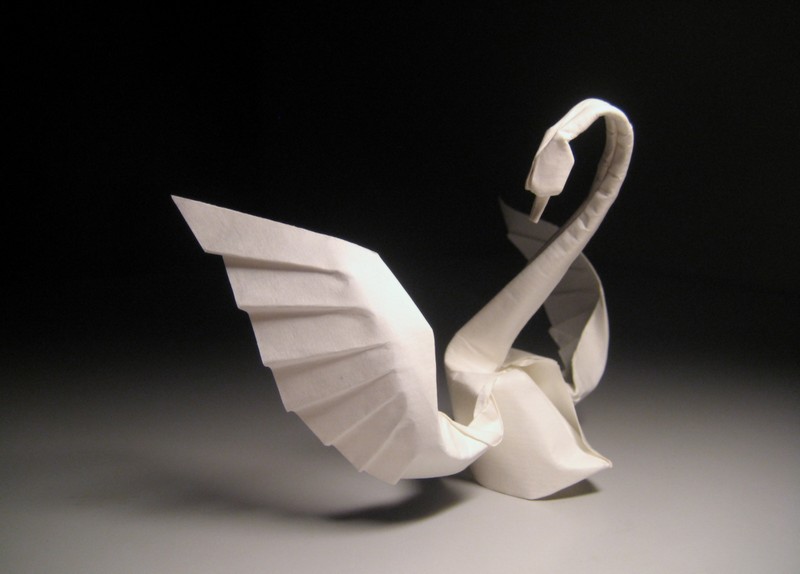 origami 3d swan