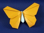 Excellent origami butterfly